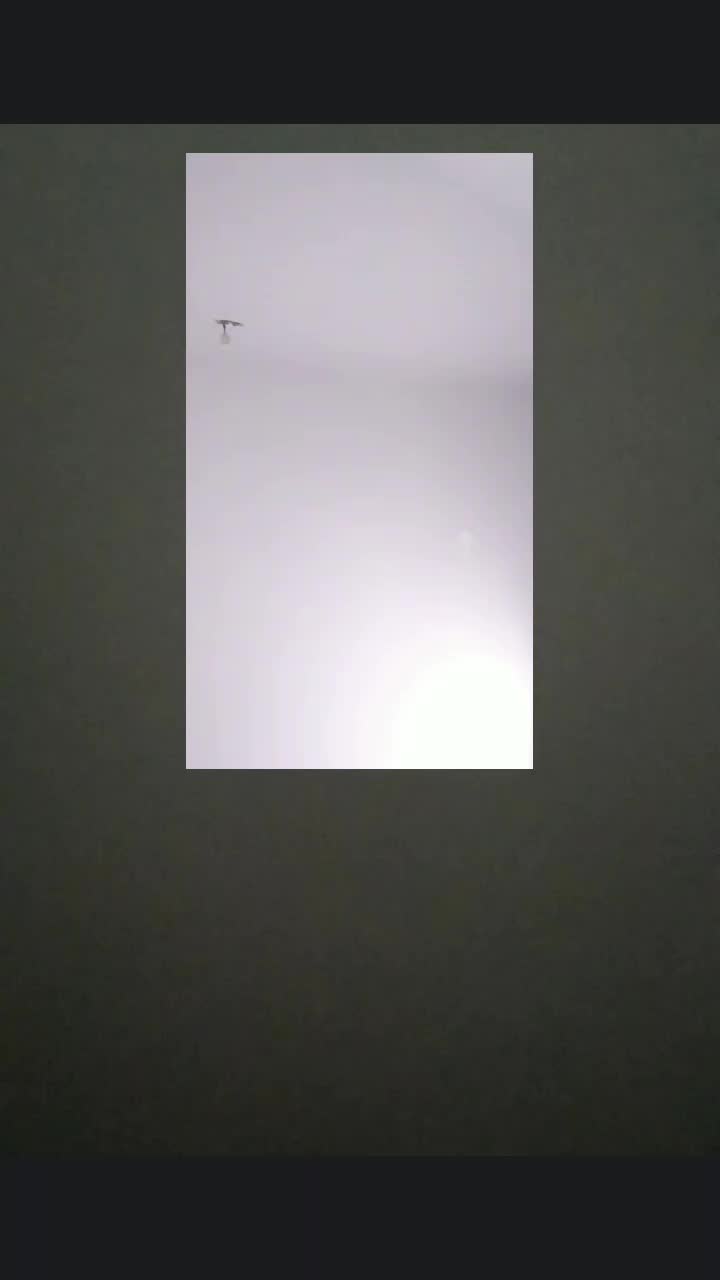 Фон видео
