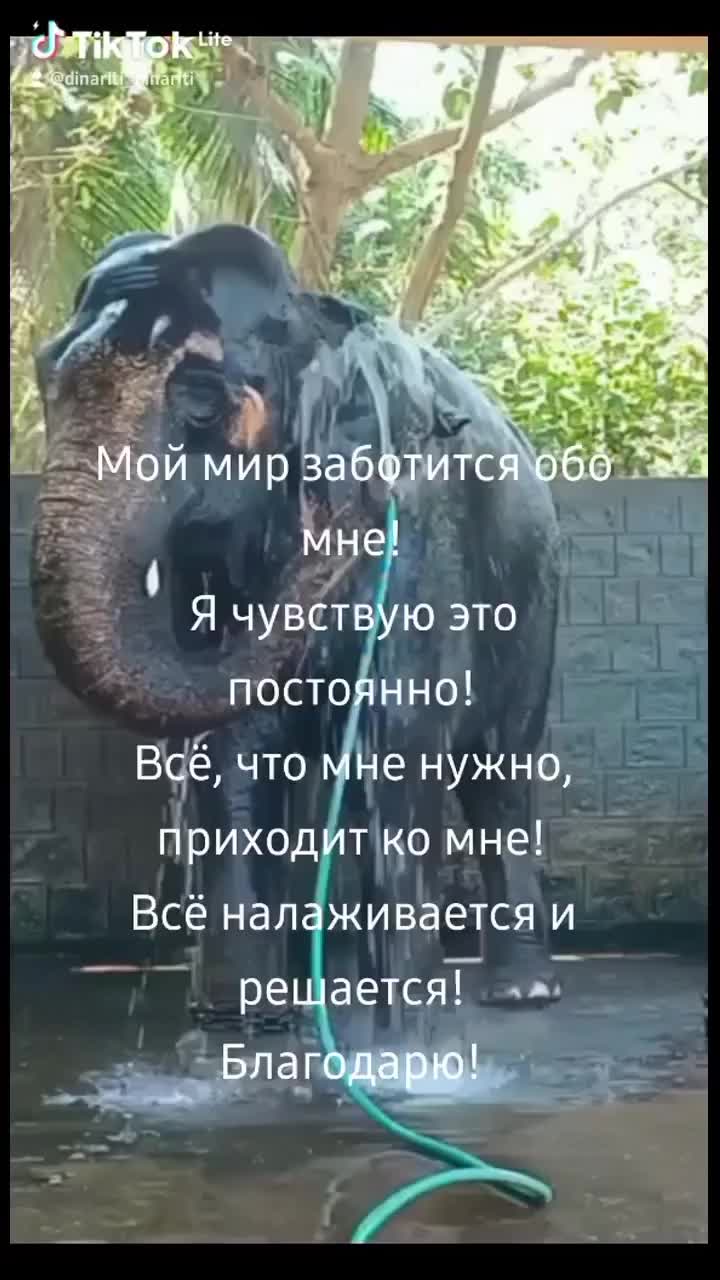 Видео пользователя @din_garo