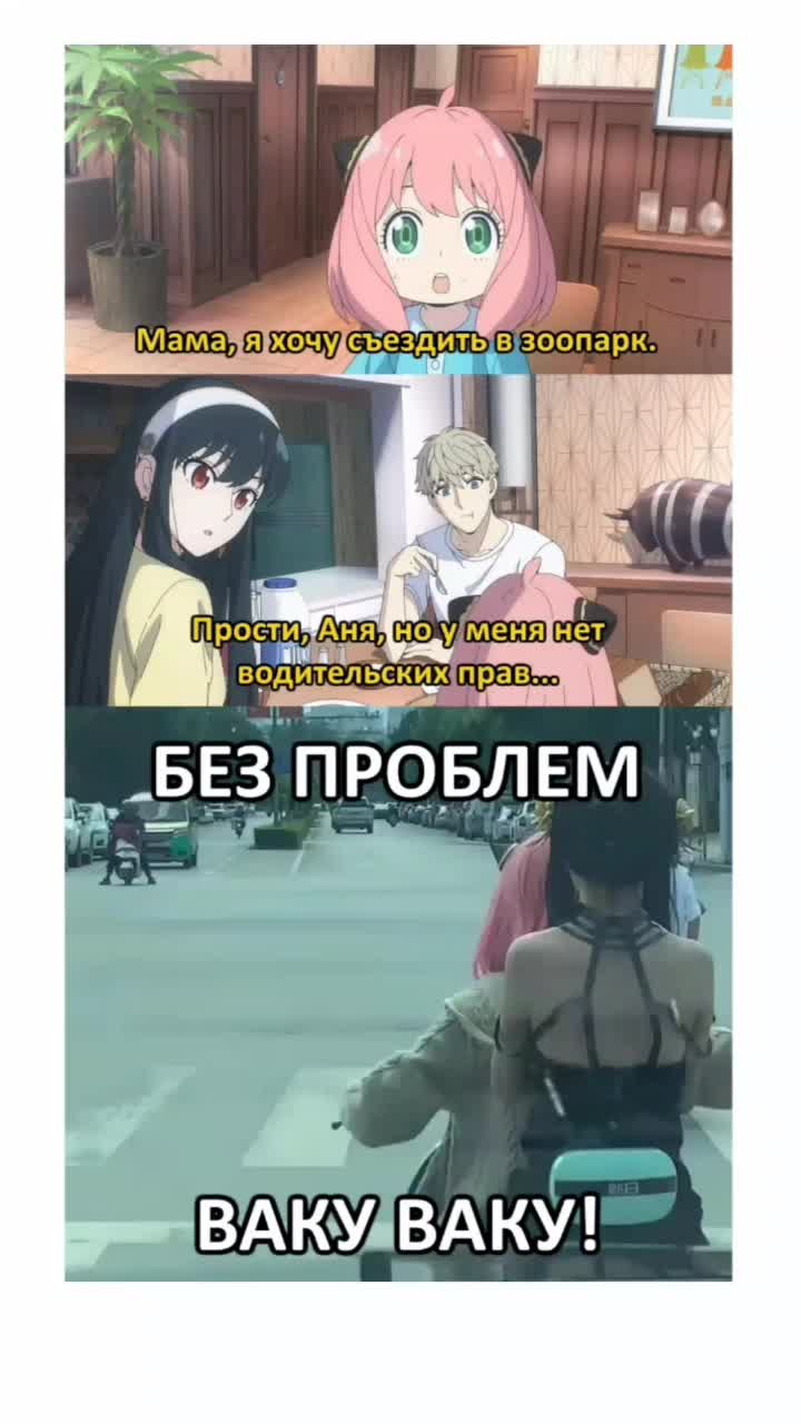 семьяшпиона #spyxfamily #anime #аниме #ме... ᐈ Кленовое дерево  (@themaplesguild) | Yappy