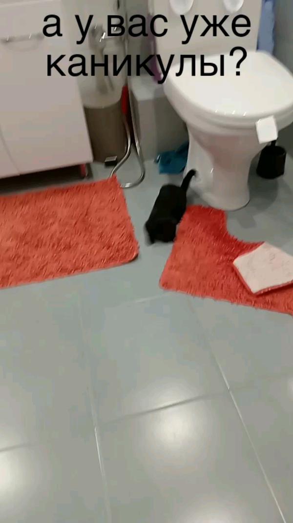 Фон видео