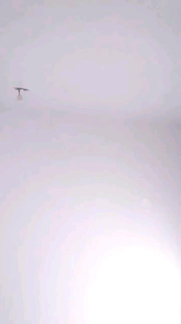 Фон видео
