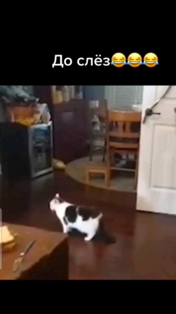 Фон видео